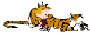 calvin & hobbes