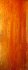 La Terre est rouge comme une orange